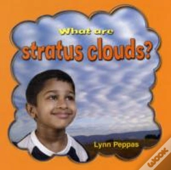 Capa do artigo What Are Stratus Clouds?