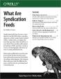 What Are Syndication Feeds - Preview