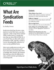 Capa do artigo What Are Syndication Feeds