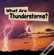 Capa do artigo What Are Thunderstorms