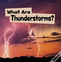 Capa do artigo What Are Thunderstorms