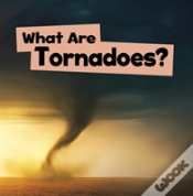 Capa do artigo What Are Tornadoes?