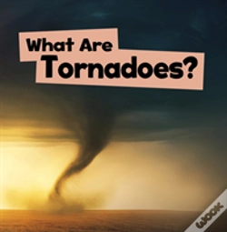 Capa do artigo What Are Tornadoes?