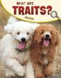What Are Traits? - Preview