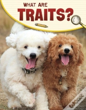 Capa do artigo What Are Traits?