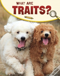 Capa do artigo What Are Traits?
