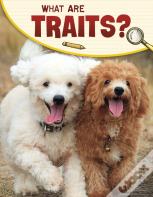 What Are Traits?