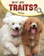 What Are Traits? - Preview