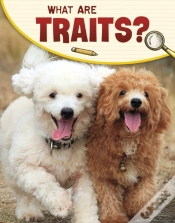 Capa do artigo What Are Traits?