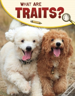 Capa do artigo What Are Traits?