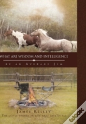 Capa do artigo What Are Wisdom And Intelligence