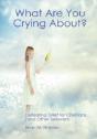 What Are You Crying About? - Preview