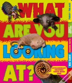 Capa do artigo What Are You Looking At?