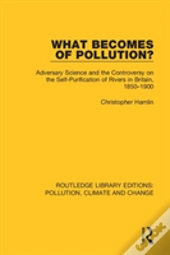 What Becomes Of Pollution?