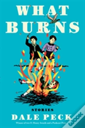 Capa do artigo What Burns