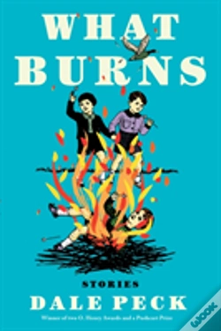 Capa do artigo What Burns