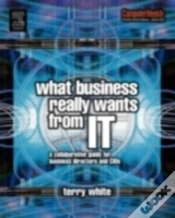 Capa do artigo What Business Really Wants From It