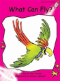 What Can Fly - Preview