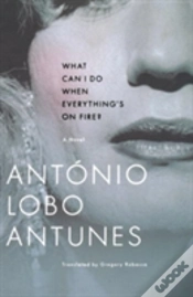 Capa do artigo What Can I Do When Everything