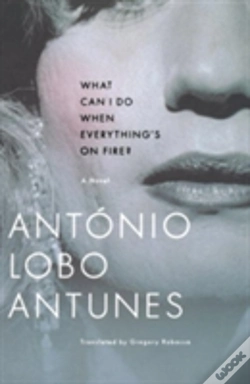 Capa do artigo What Can I Do When Everything'S On Fire?