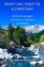 What Can I Enjoy As A Christian? - Preview