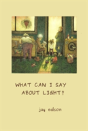 What Can I Say About Light? - Preview