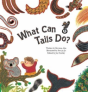 What Can Tails Do - Preview