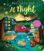 What Can You See? At Night - Preview