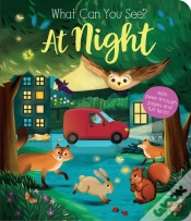 Capa do artigo What Can You See? At Night