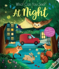 Capa do artigo What Can You See? At Night