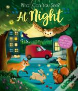 What Can You See At Night?