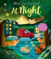 What Can You See At Night?