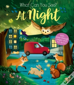 Capa do artigo What Can You See At Night?