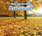 What Can You See In Autumn - Preview