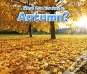What Can You See In Autumn
