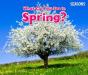 What Can You See In Spring? - Preview