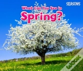What Can You See In Spring?