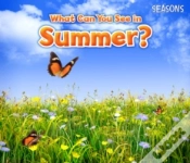 Capa do artigo What Can You See In Summer