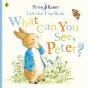 What Can You See Peter? - Preview