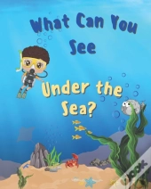 What Can You See