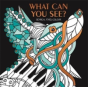 What Can You See? - Preview