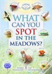 Capa do artigo What Can You Spot In The Meadows?