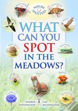 Capa do artigo What Can You Spot In The Meadows?