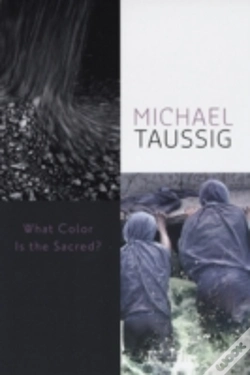 Capa do artigo What Color Is The Sacred?