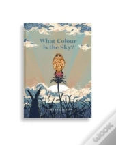What Colour Is The Sky?