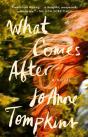 What Comes After - Preview