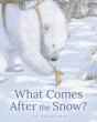 What Comes After The Snow? - Preview