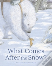 Capa do artigo What Comes After The Snow?