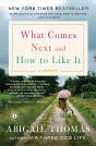 What Comes Next And How To Like It - Preview