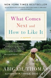 Capa do artigo What Comes Next And How To Like It